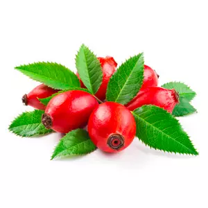 Ingrediente Rosa Mosqueta Amazônica