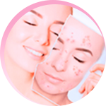 Ícone de escudo antioxidante